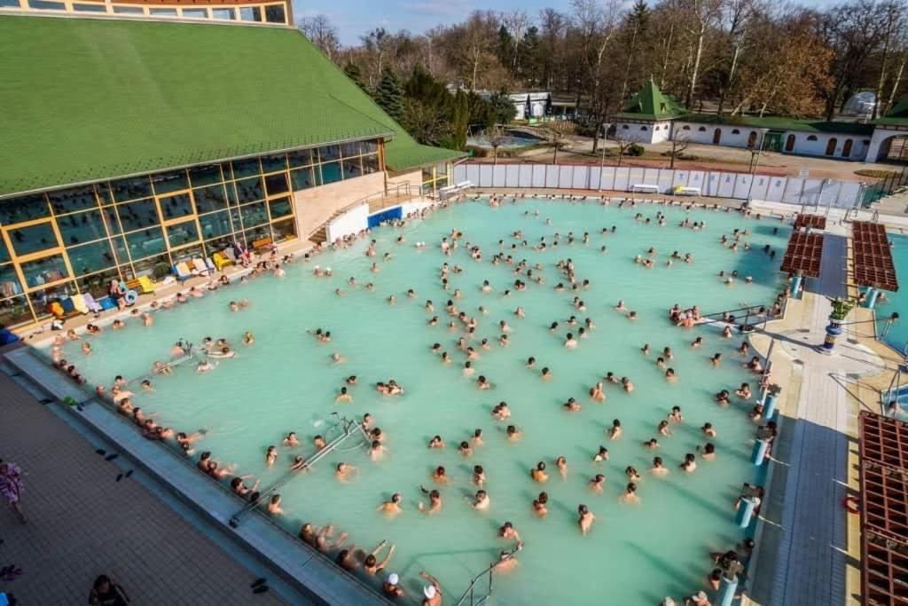 Aniko Vendeghaz Ubytování v soukromí *